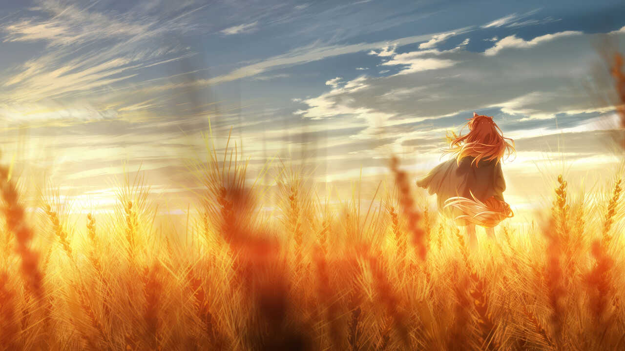 FR - Spice and Wolf: MERCHANT MEETS THE WISE WOLF 0