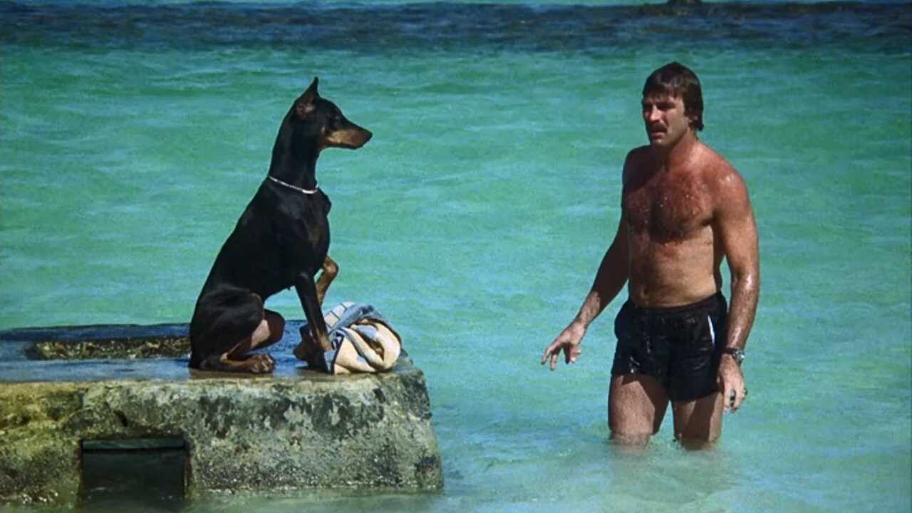 SC - Magnum, P.I. (1980) (US) 4